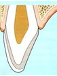 薏安牙醫